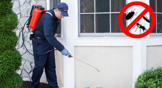 Didim Bit İlaçlama böcek ilaçlama ve haşere kontrolü — ilaclama-tr.com